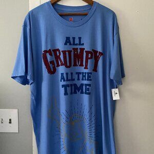 NEW Disney Parks World Hanes Nano GRUMPY Snow White T-Shirt Blue Men's 2XL
